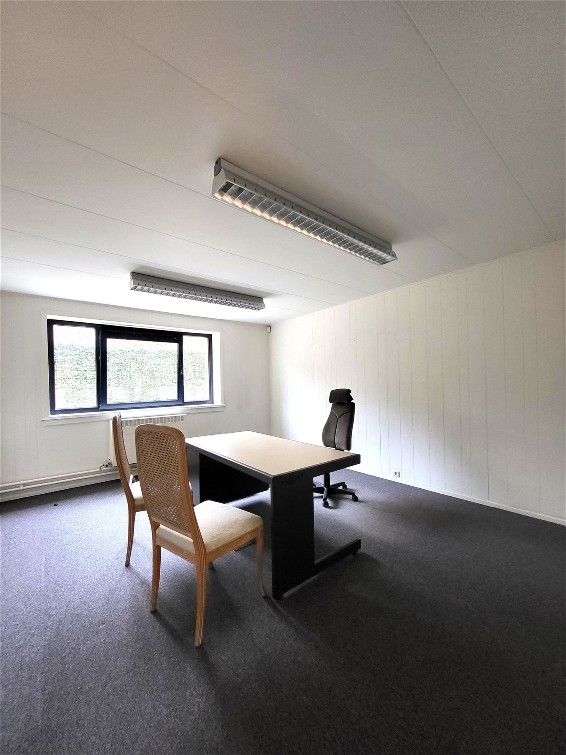 Villa met professionele opslagruimte, kelder en kantoorruimtes. foto 27