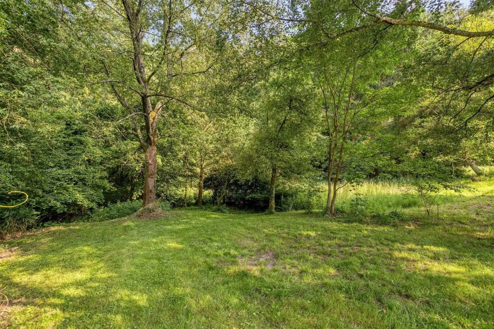 Uitzonderlijke eigendom - 4gevel (43a54ca) naast Hallerbos  foto 21