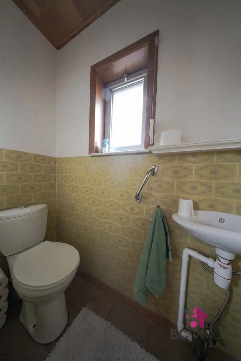 Ruime woning op een perceel van 8are in Houthalen-Oost foto 15