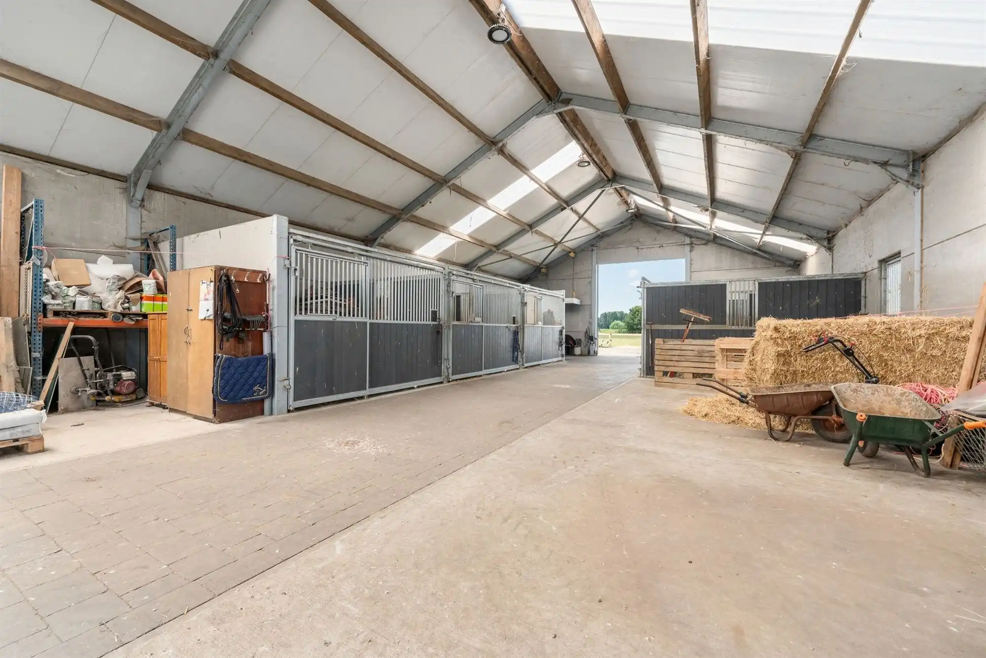 Unieke eigendom van 14.139m² voor paarden- of dierenliefhebbers of wie droomt van ruimte  foto 18