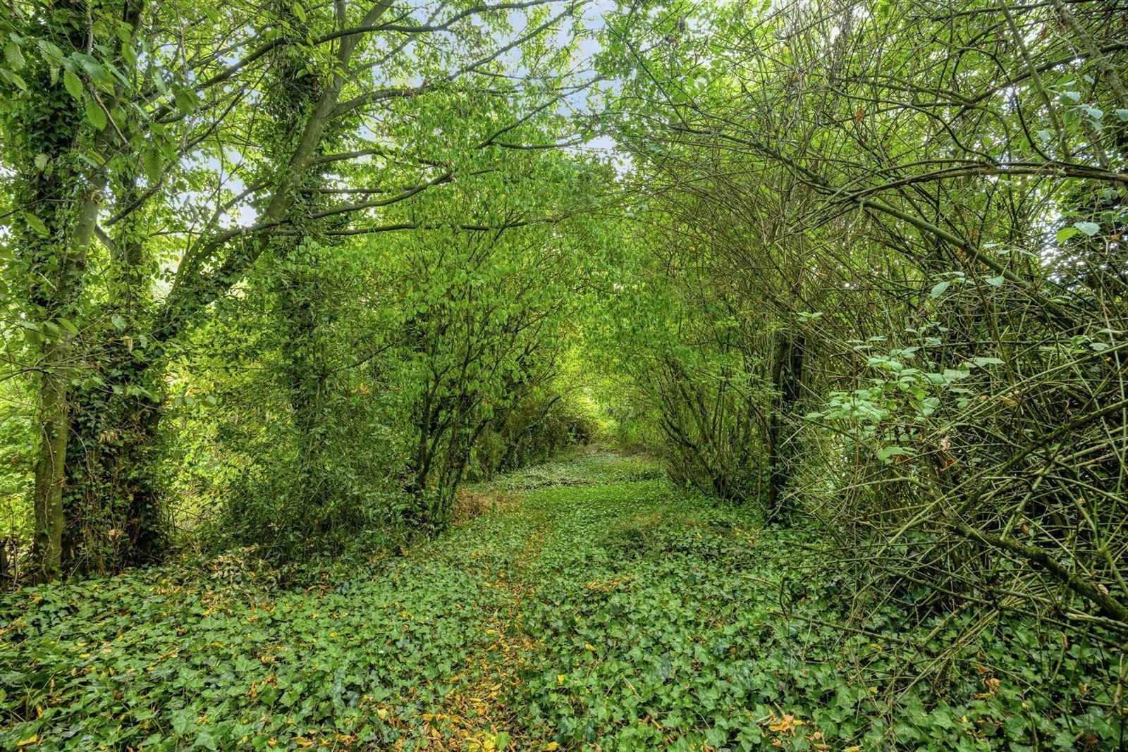 Charmante 3-gevelwoning (8a85) met mogelijkheid tot 5 slaapkamers te Halle foto 34