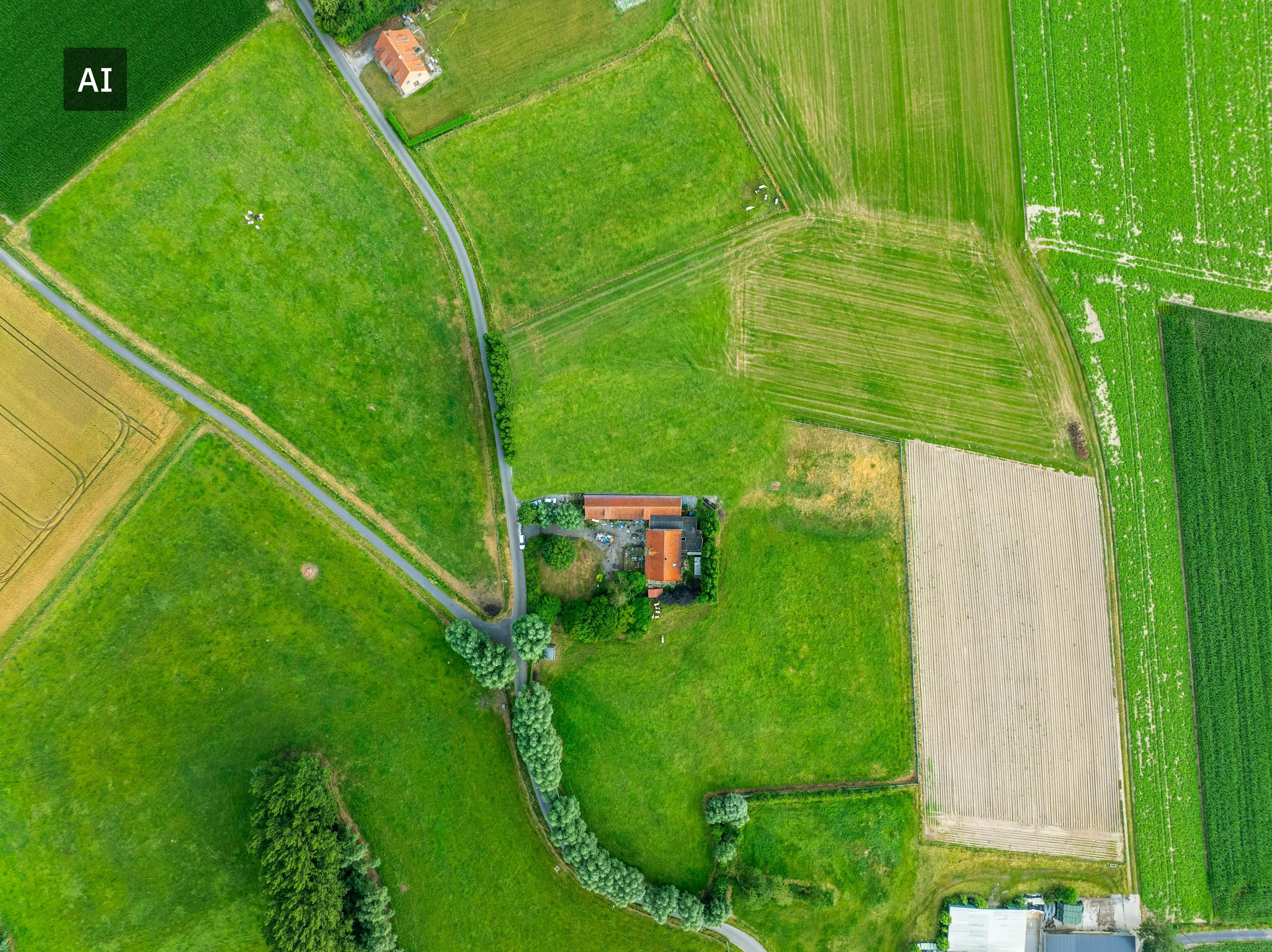 Unieke hoeve gelegen te Moorslede foto 4