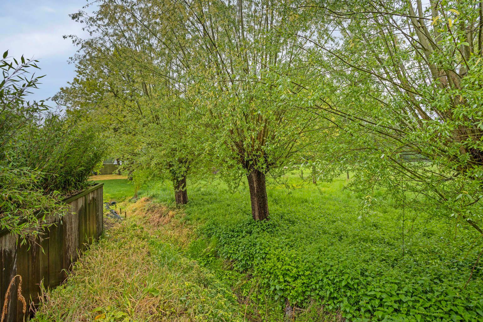 GERENOVEERDE WONING MET TUIN IN BOUTERSEM foto 24