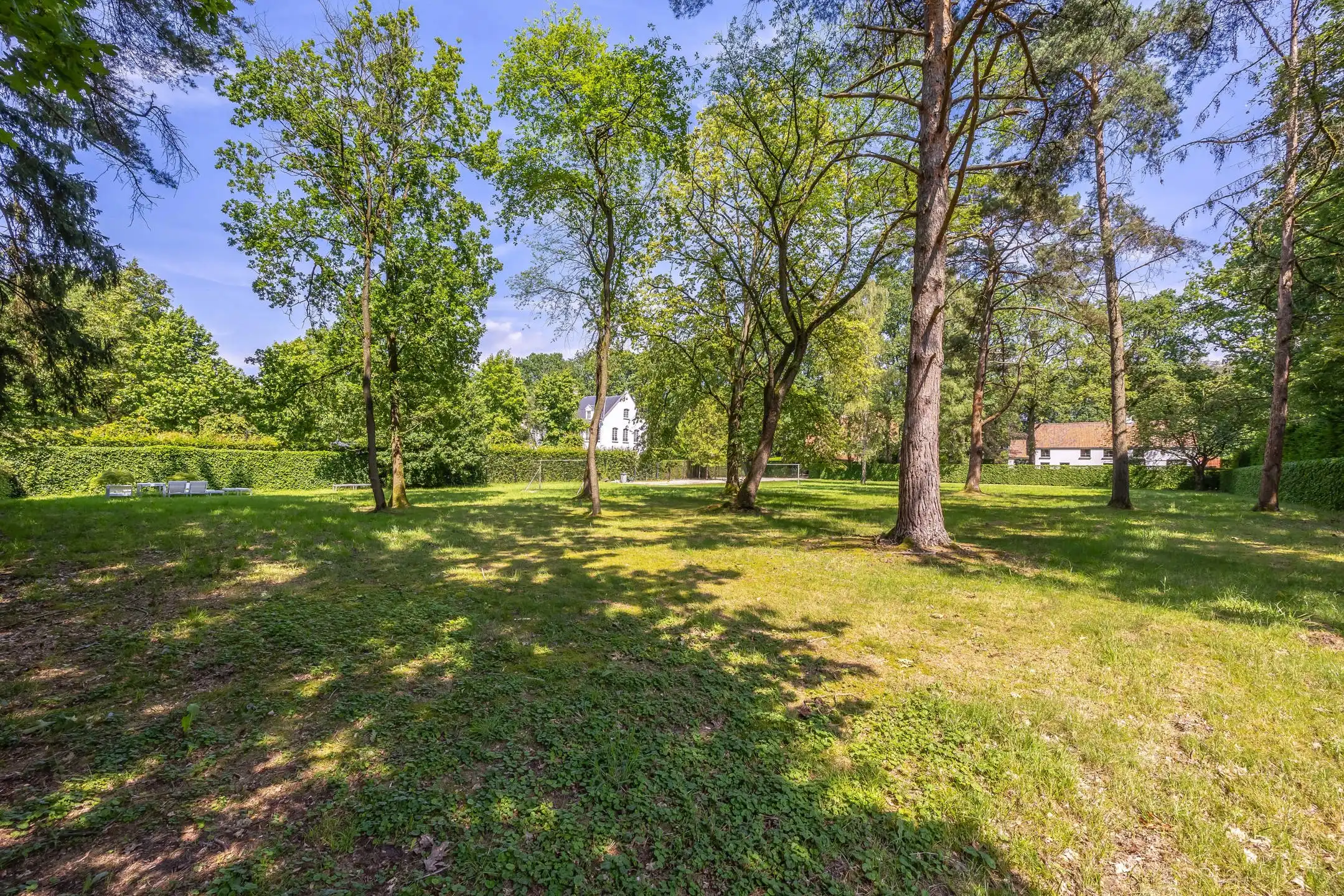  Uitzonderlijke ZW bouwgrond van 4.053 m² op toplocatie! foto 9