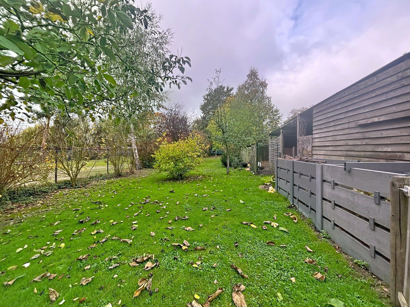 IN OPTIE! Ruime energiezuinige woning met 4 slaapkamers in Glabbeek! foto 23