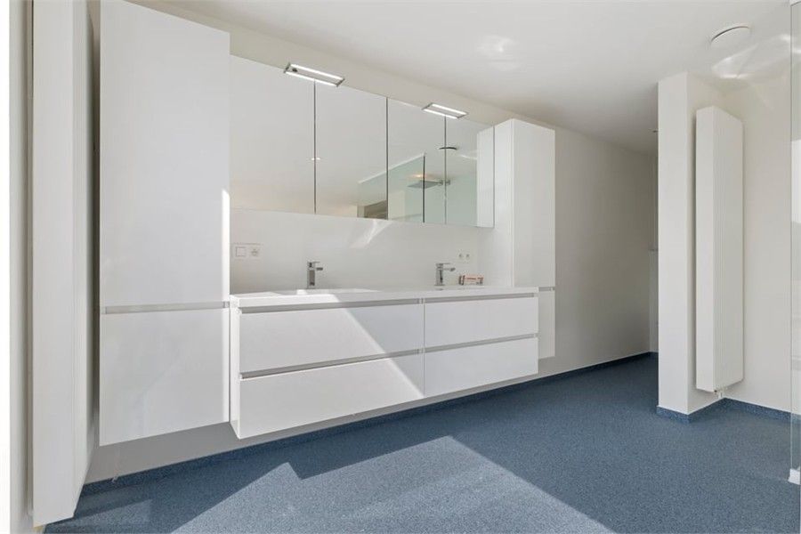 RUIME OPEN BEBOUWING MET KANTOOR EN ADEMBENEMEND ZICHT IN HASSELT foto 39