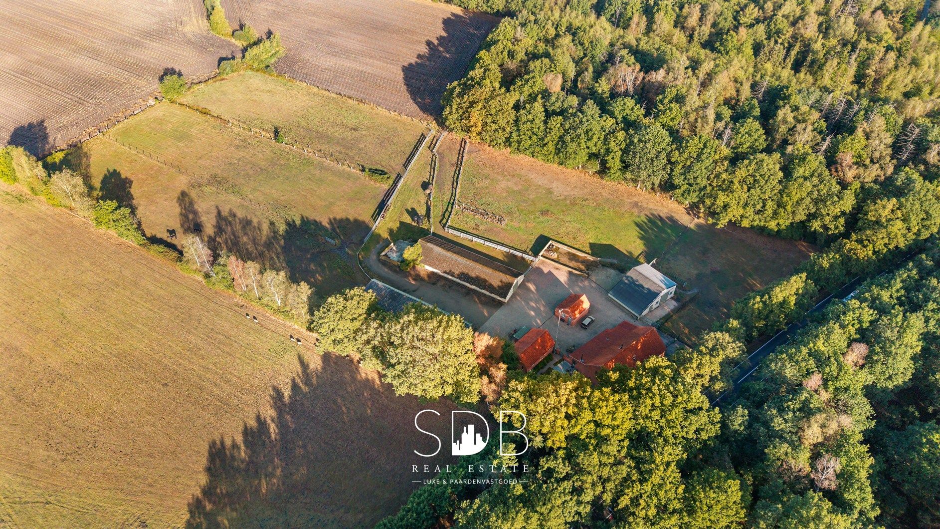 Authentieke hoeve met diverse bijgebouwen en graslanden op 93.155m² foto 4
