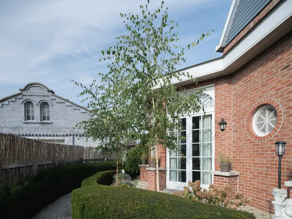 Sint-Amandsberg. Op te frissen directeurswoning met bijhorend magazijn en afzonderlijke loft op een boogscheut van het centrum van Gent. foto 4