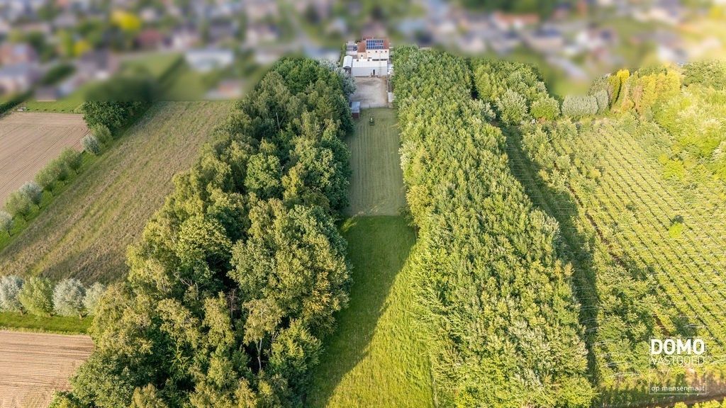 Ruime villa met paardenaccommodatie en wedstrijdstal gelegen te Herk-de-Stad - EPC-label: B - Bewoonbare vloeroppervlakte: 296m² foto 33