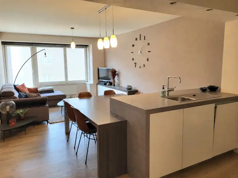 Gerenoveerd 2-slaapkamer appartement te koop foto {{pictureIndex}}
