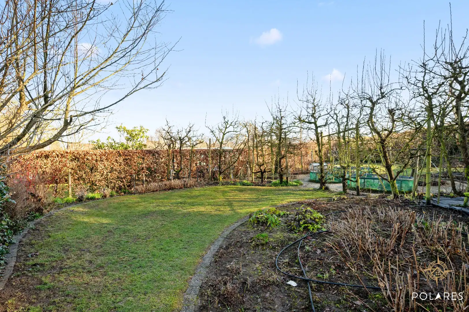 Ruime half open bebouwing met 5 slaapkamers in Bierbeek foto 15