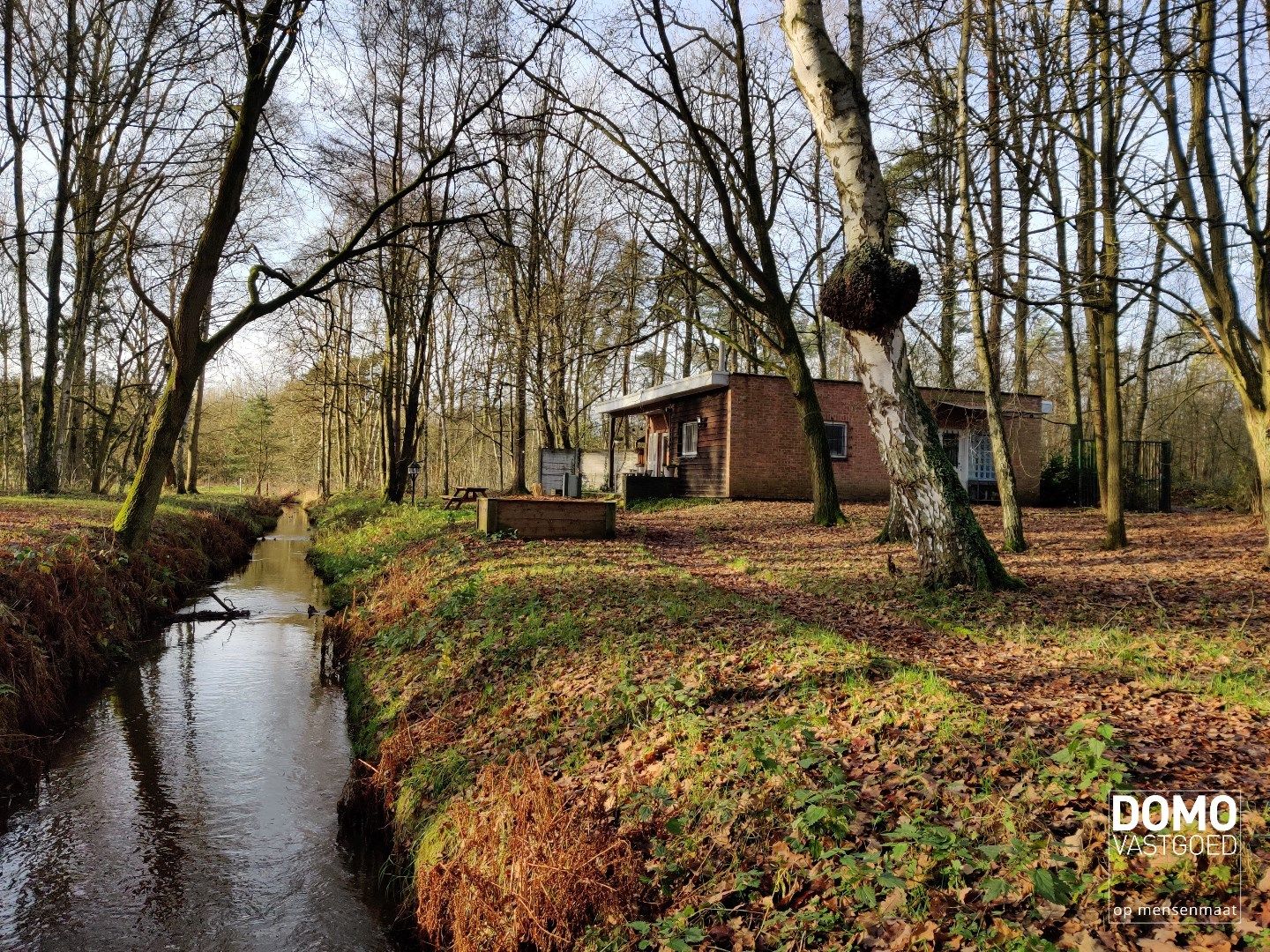 Weiland met aangrenzende vijver en bos. foto 4