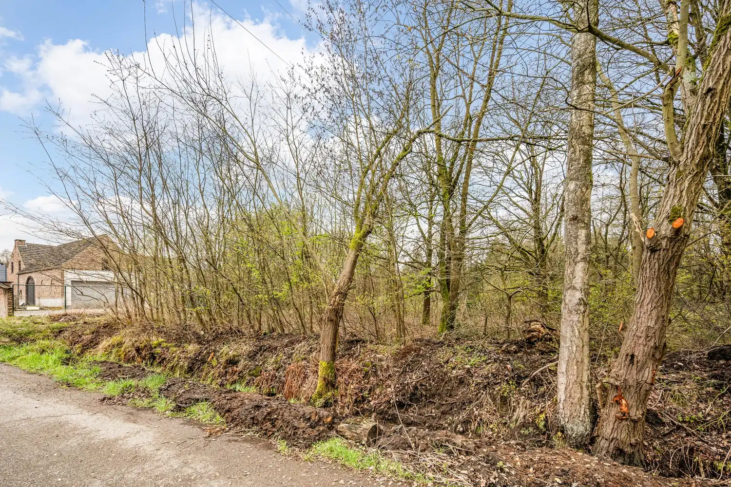 Unieke bouwgrond voor open bebouwing GENK foto 3