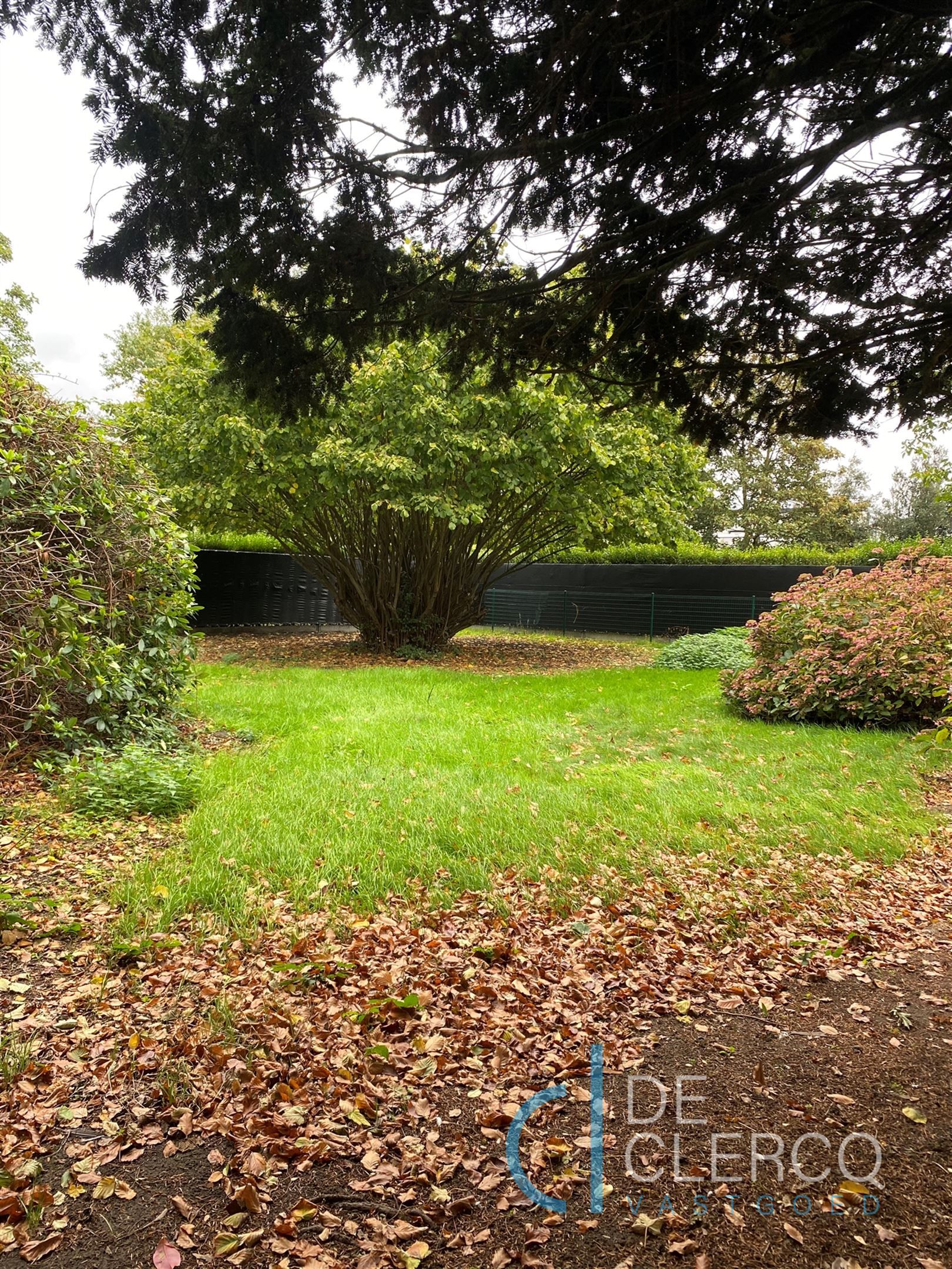 Herenhuis met grote tuin te huur in Lochristi!  foto 15