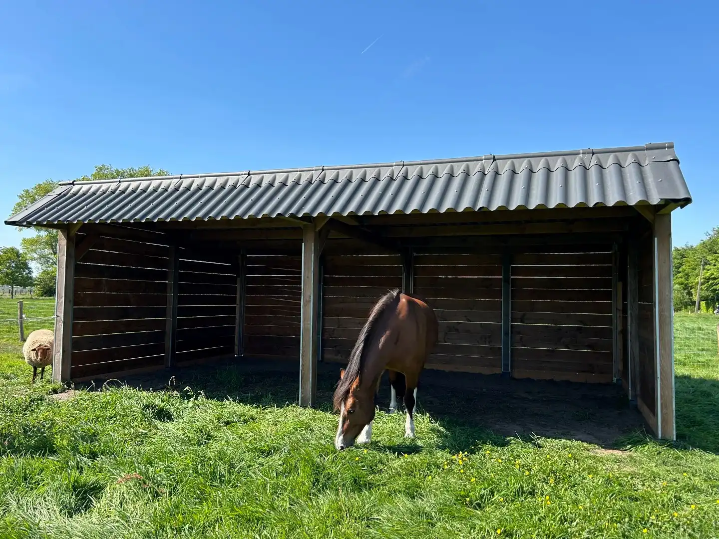 Rust, ruimte en landelijk wonen in Damme foto 9