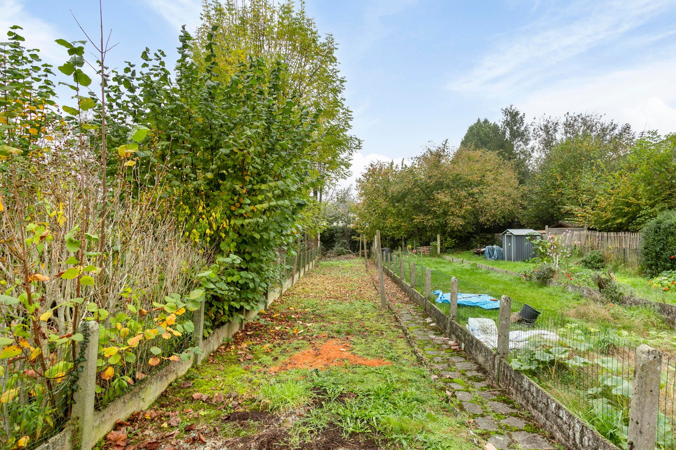 Op te frissen woning vlakbij Leuven met diepe tuin foto 18