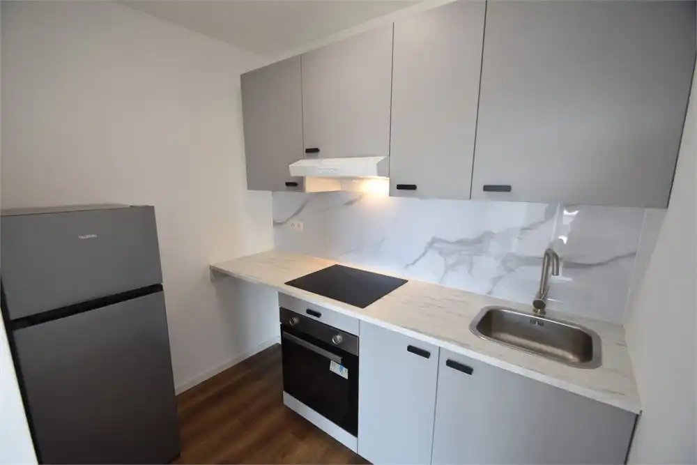 Gerenoveerd appartement aan de stadsrand foto 7