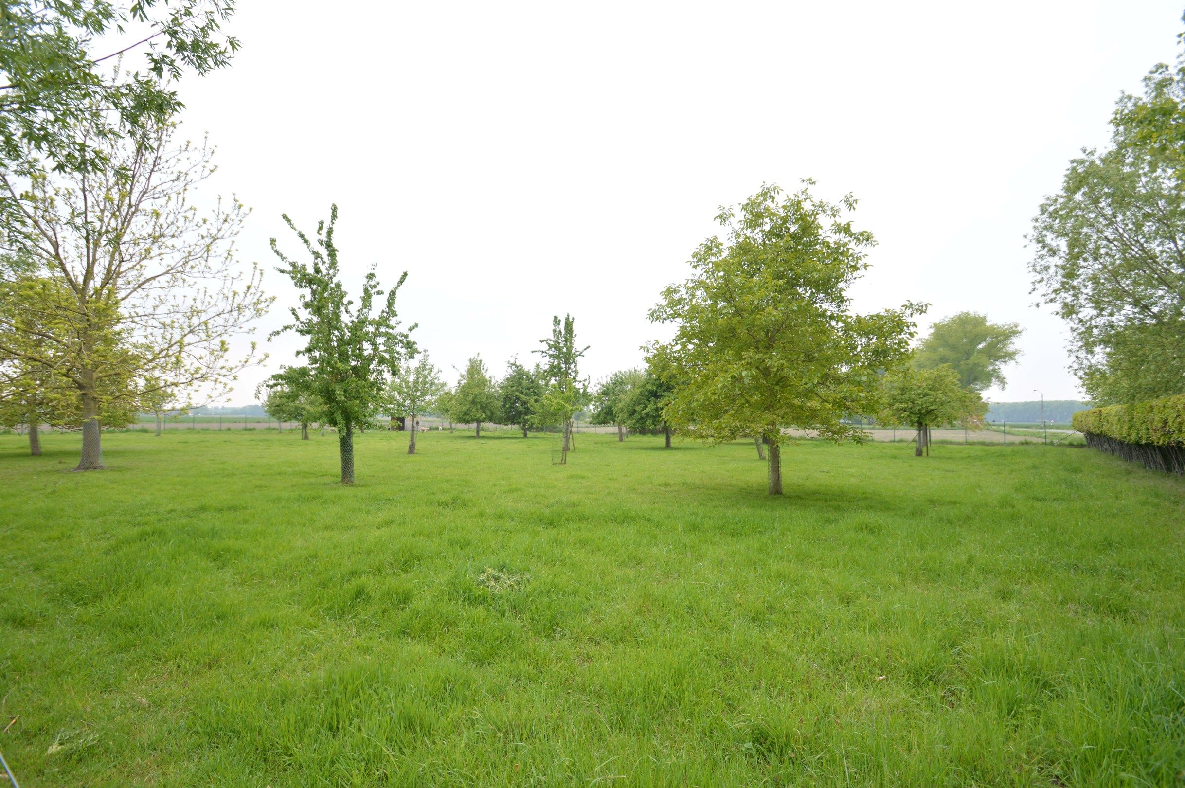 Fermette met bijgebouwen in het prachtige Damme foto 10