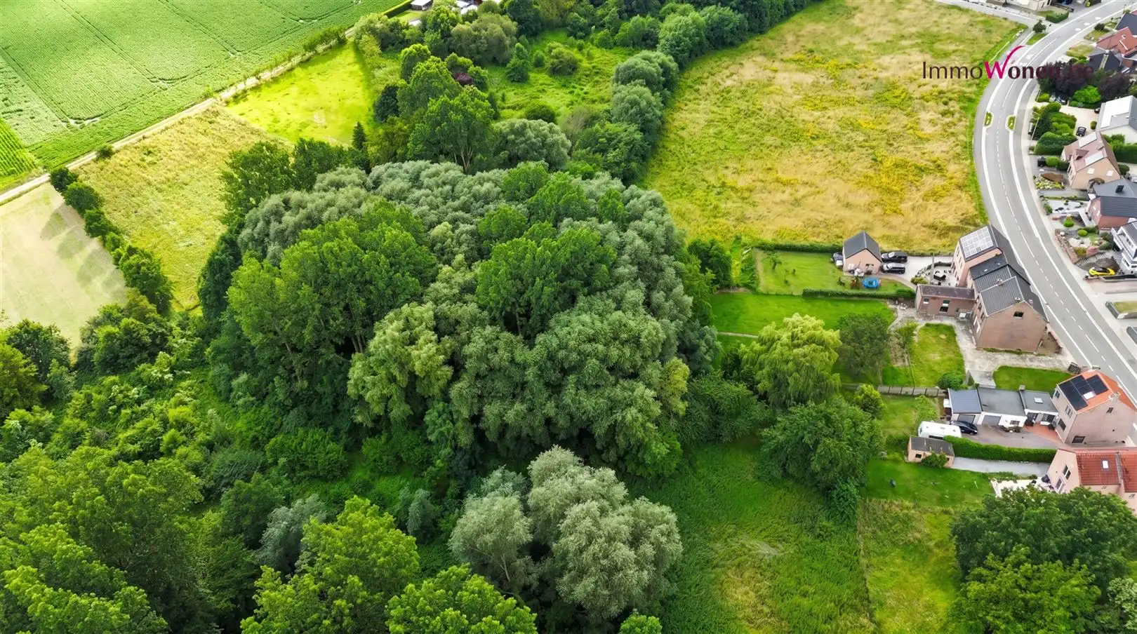 Te renoveren Woning op groen breed perceel bij ImmoWonen foto 2