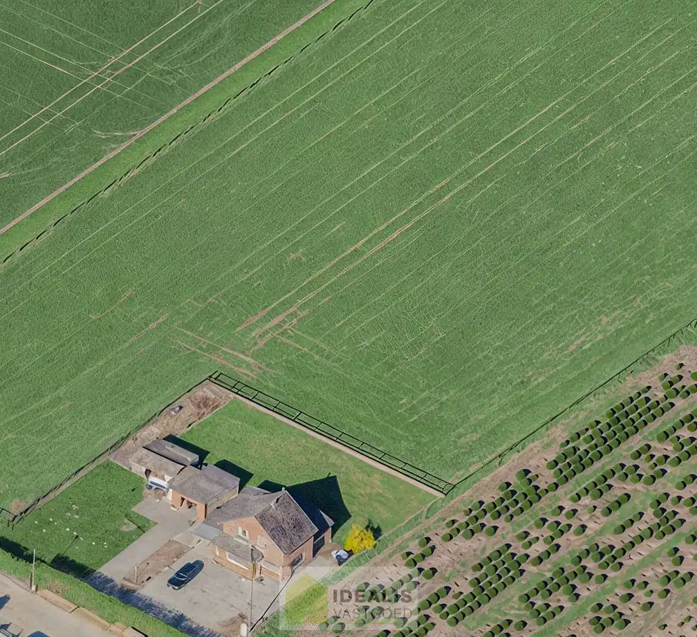 IDEALIS VASTGOED – KARAKTERVOLLE EIGENDOM OP TOPLOCATIE AAN HET KOLISBOS MET VERGUND NIEUWBOUWPROJECT foto 5