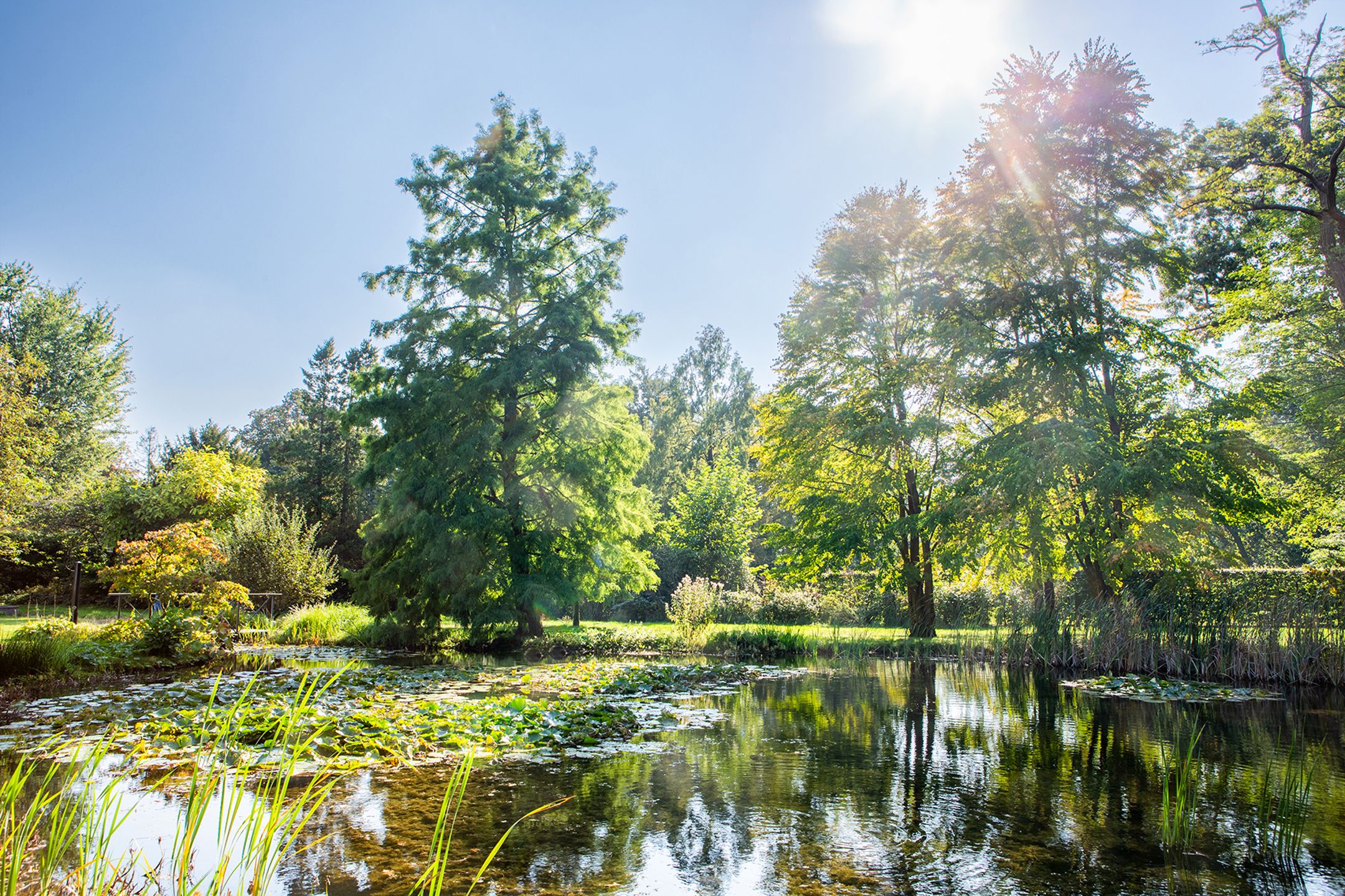 Exclusieve villa op 1.1ha met binnenzwembad, spa en lift  foto 51