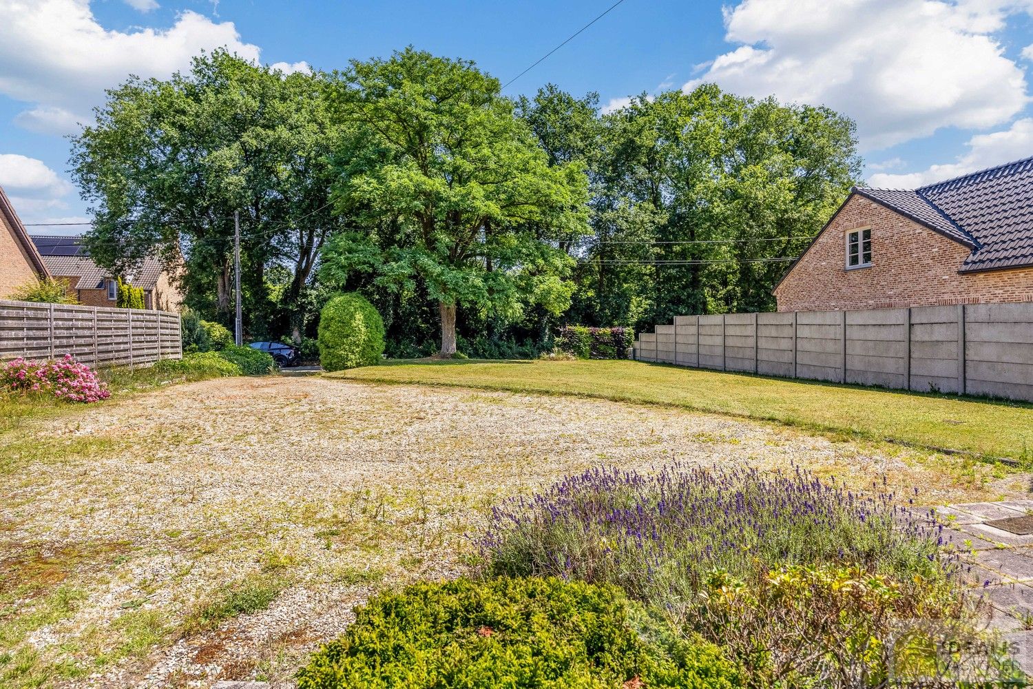DEALIS VASTGOED – Residentieel gelegen bouwgrond met zicht op groen van maar liefst 12a (1200m²) met een straatbreedte van +- 20m. Momenteel voorzien van een chalet (onvergund) die dienst kan doen als tijdelijke woning. foto 8