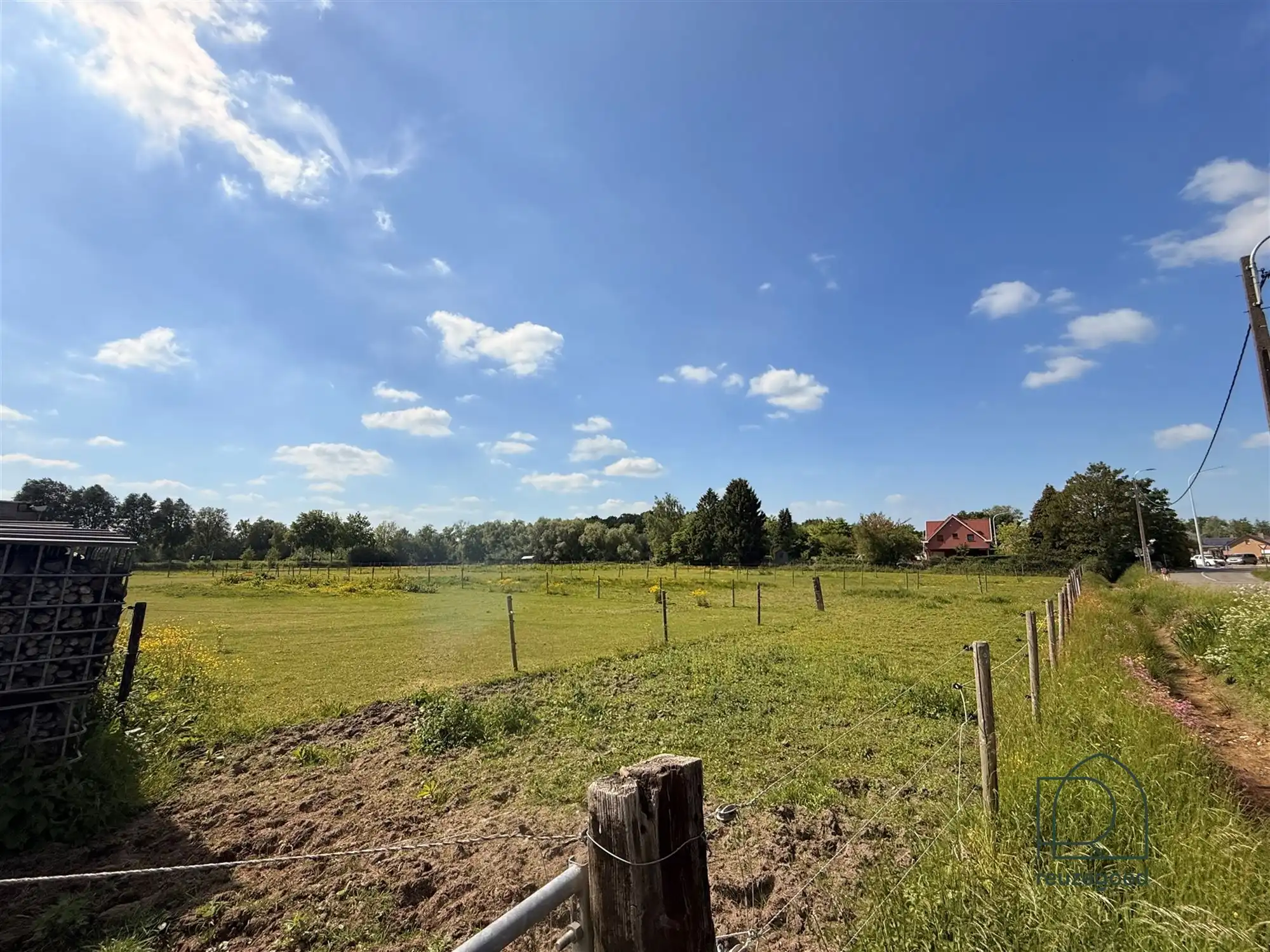 Landbouwgrond in Boortmeerbeek - paardenweide - 2,5 ha foto 6
