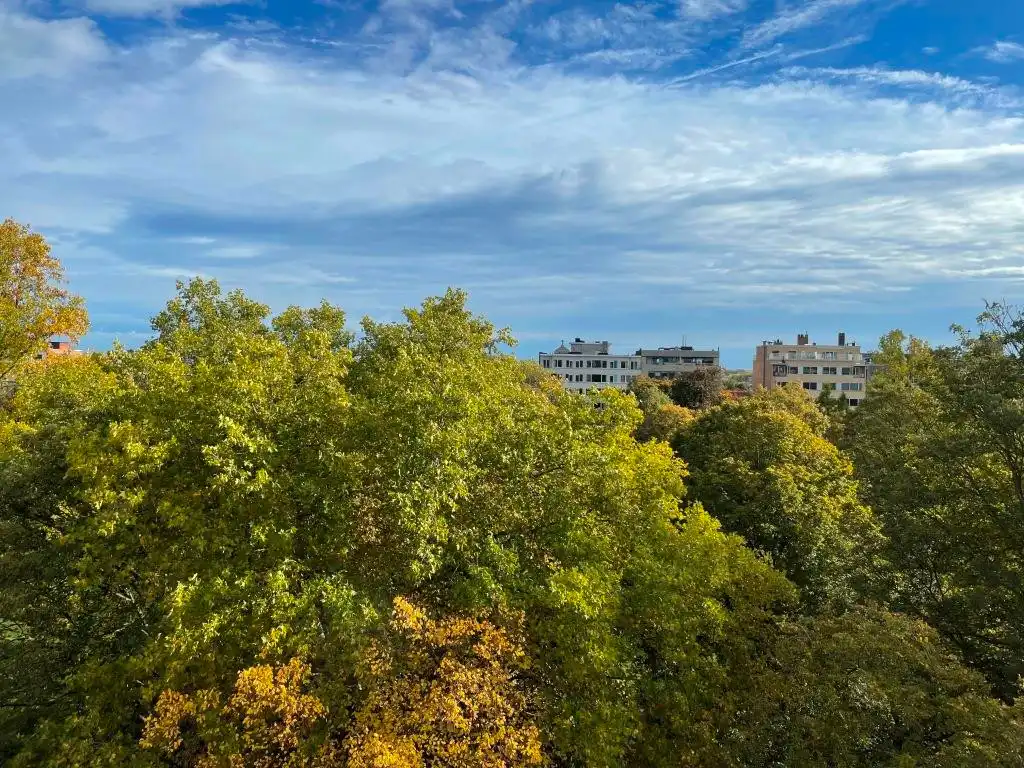 Lumineus art deco appartement met 3 slaapkamers langsheen het Zuidpark. foto 4