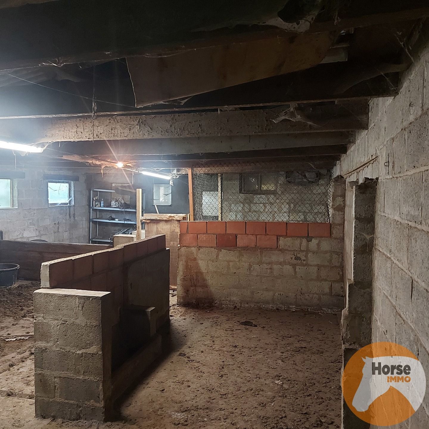 HERNE - Gerenoveerde woning met hangar op +-75a foto 19