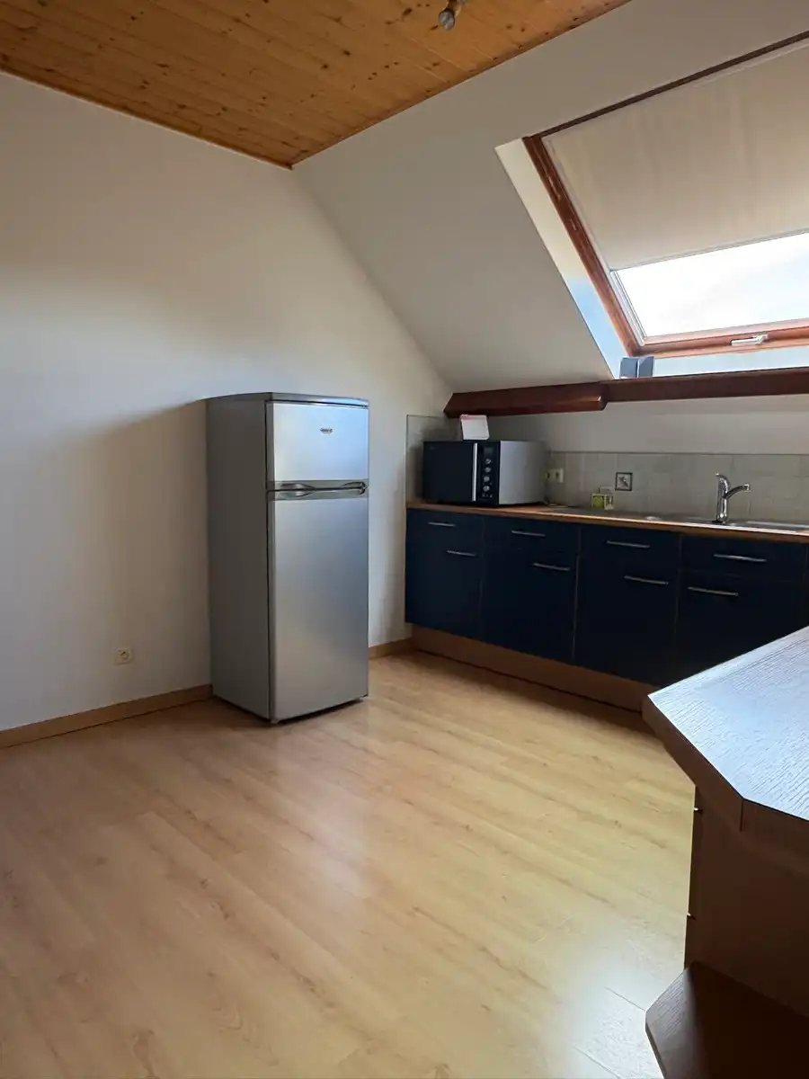 Gezellig appartemen met tuin foto 7