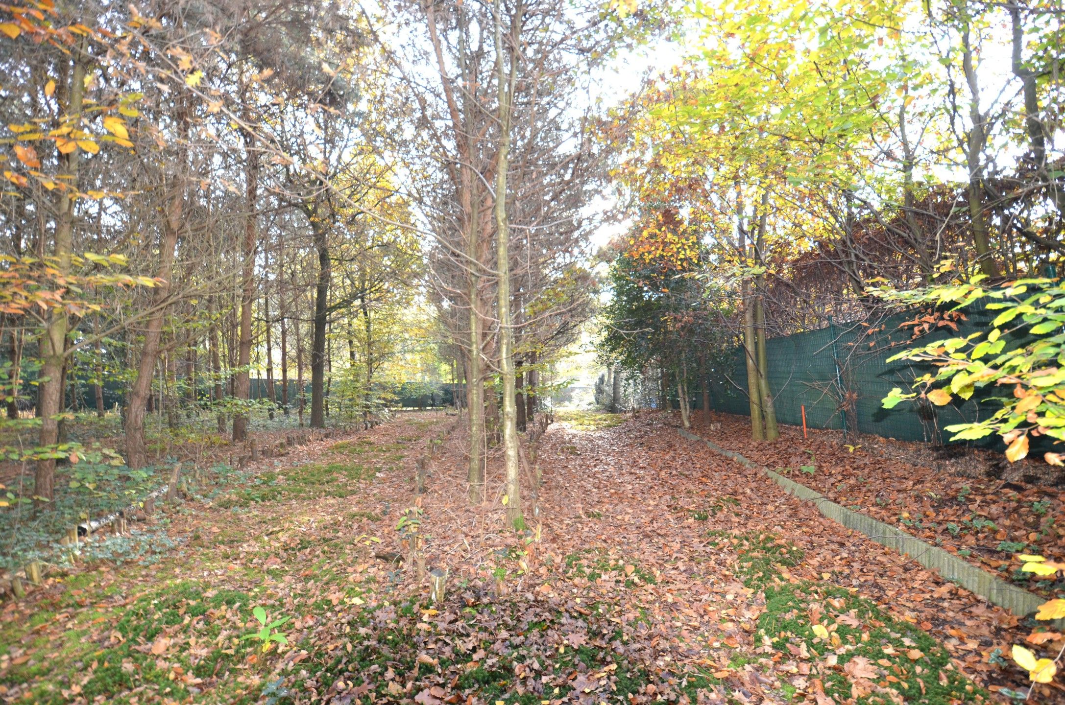 Ruime woning met veel grond foto 19