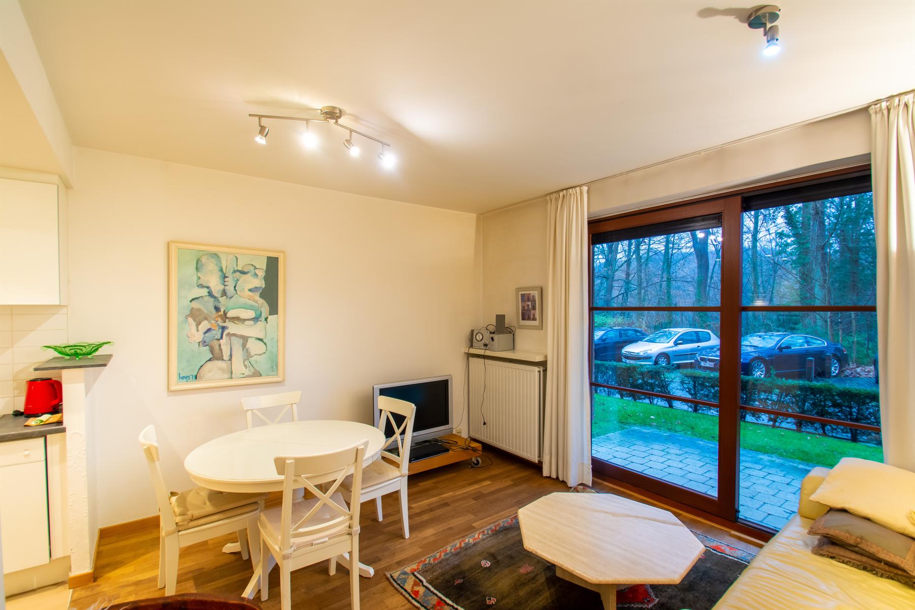 LICHTRIJK - Gemeubeld appartement 1 slpk. met terras en tuin foto 3