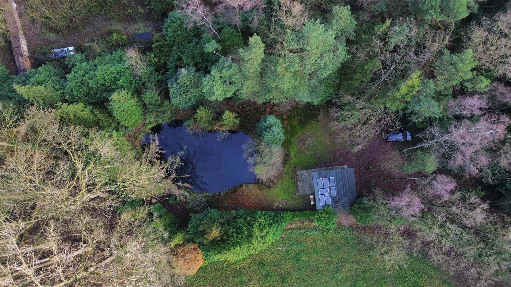 Charmante chalet met privatieve vijver op idyllisch perceel foto 18