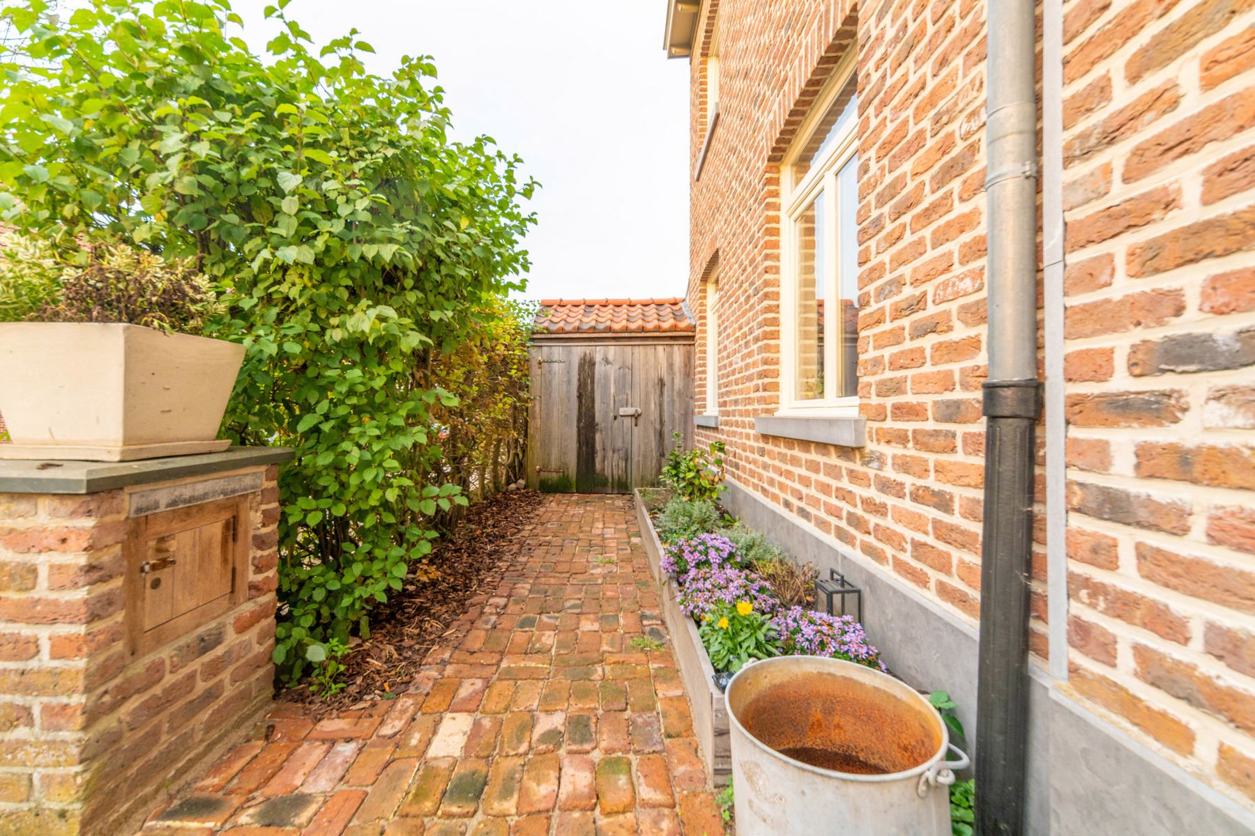 Halfopen bebouwing op toplocatie nabij De Schorre in Boom. foto 3