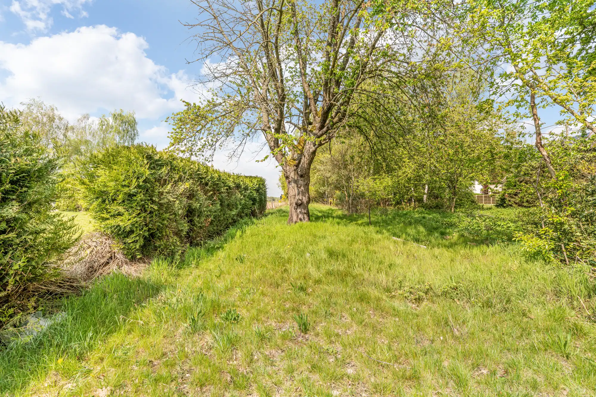 Huis te koop foto 17