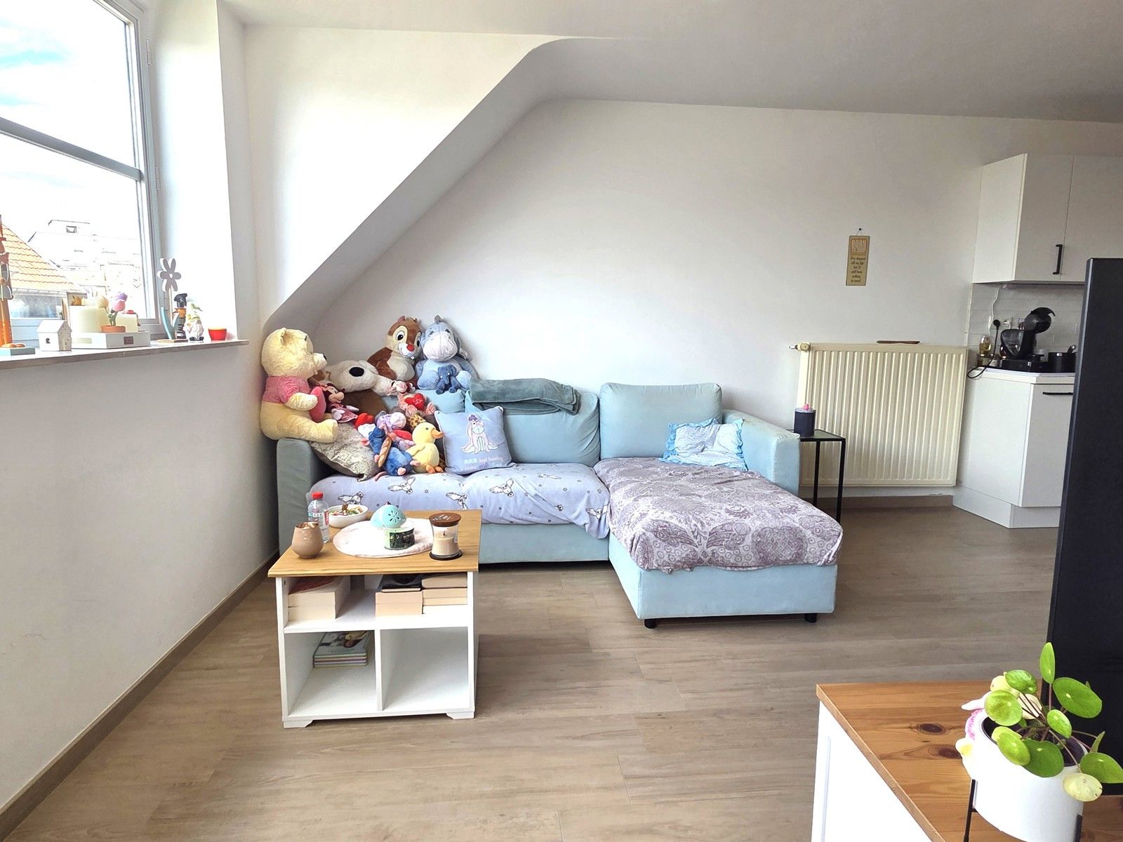 WSB-IMMO: IDEALE INVESTERING OF TOFFE STARTERSAPPARTEMENT foto 5