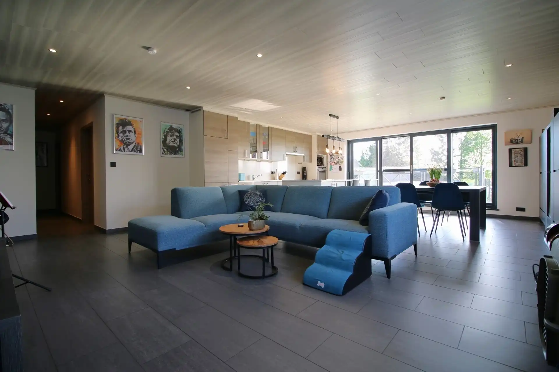 Grote instapklare woning (333m²),  landelijke ligging  foto 3