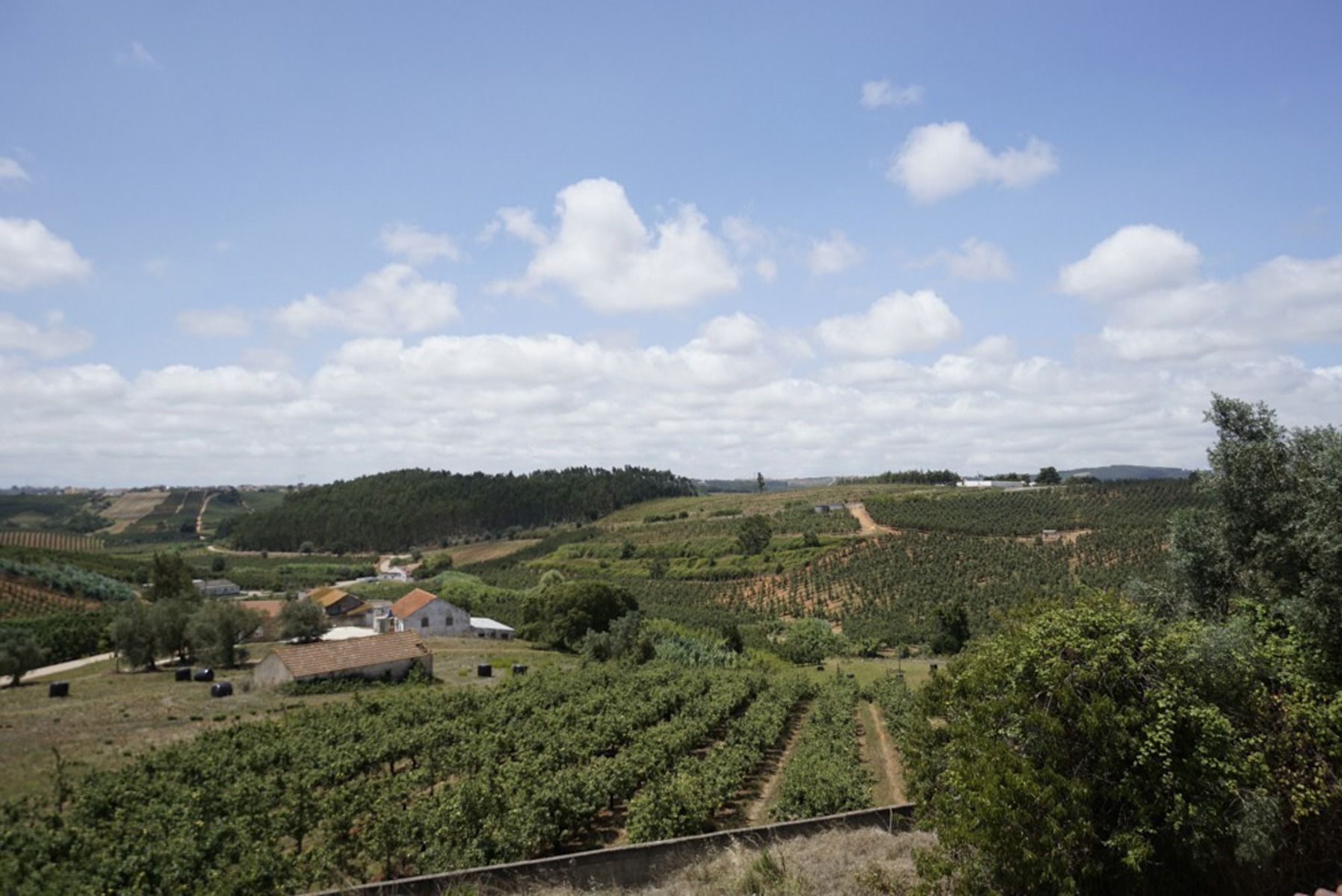 Huis te koop foto 14