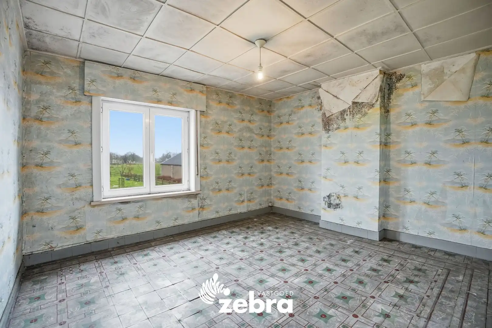 Te renoveren woning op een rustige ligging te Zwevezele! foto 15