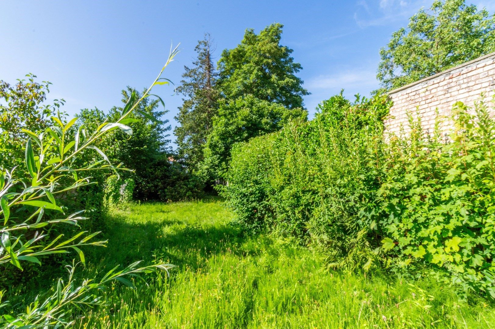 VOLLEDIG TE RENOVEREN KARAKTERWONING ! foto 14