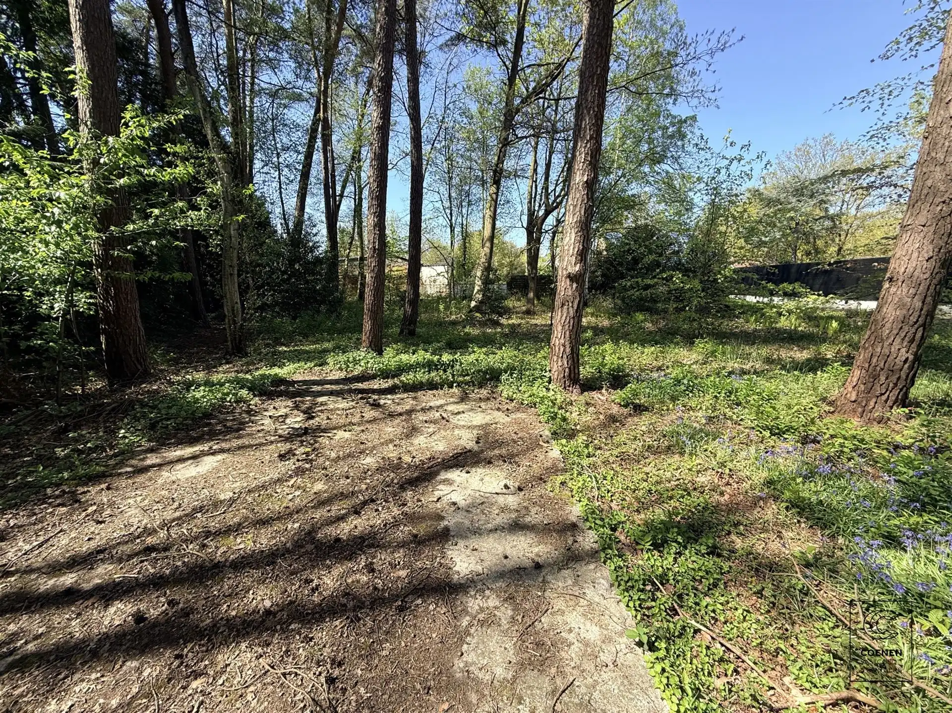 Rustig gelegen bouwgrond van 1.182 m² op een groene ligging! foto 3