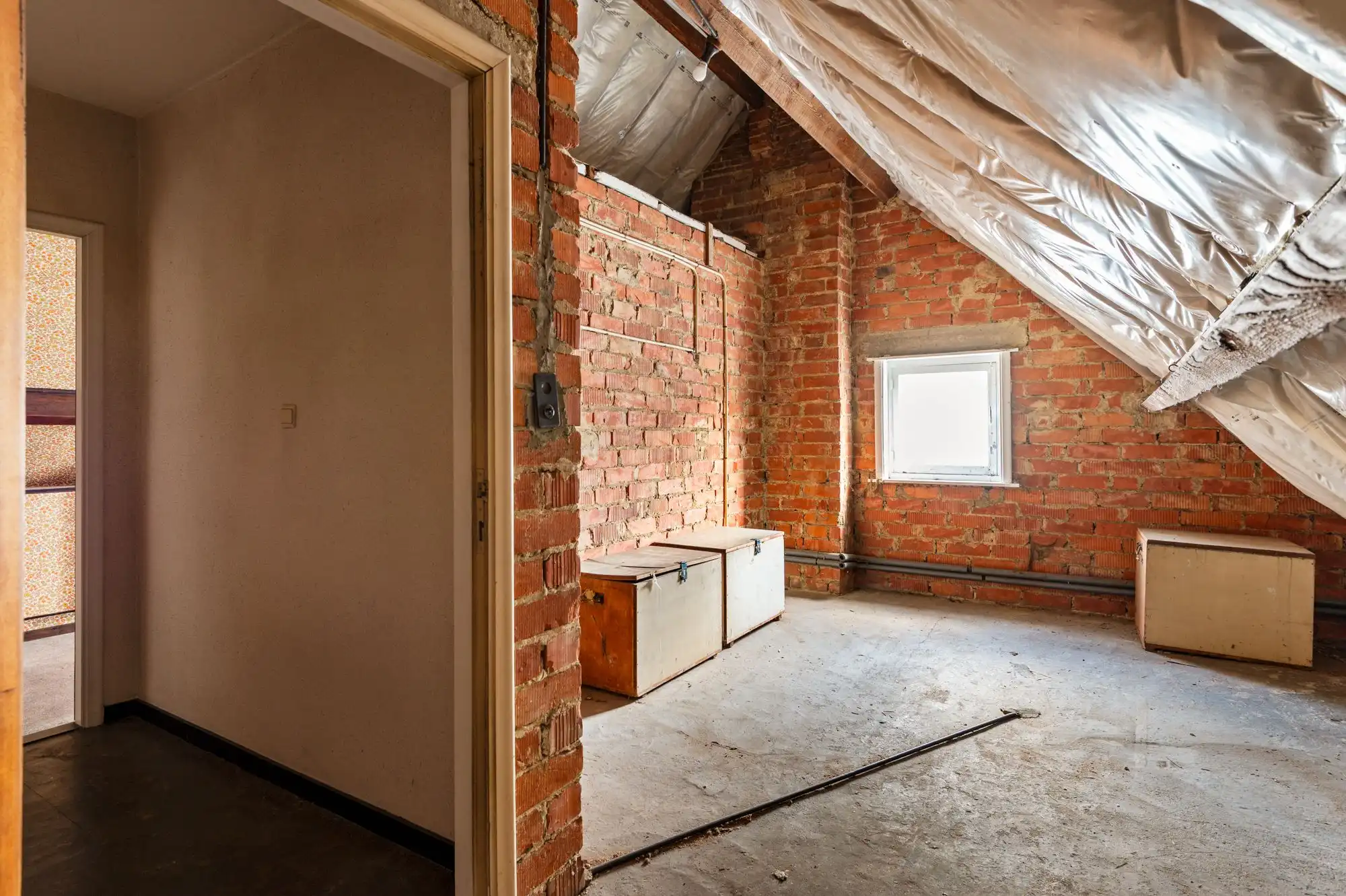 Zon, ruimte en potentieel op een toplocatie in Brasschaat. foto 17