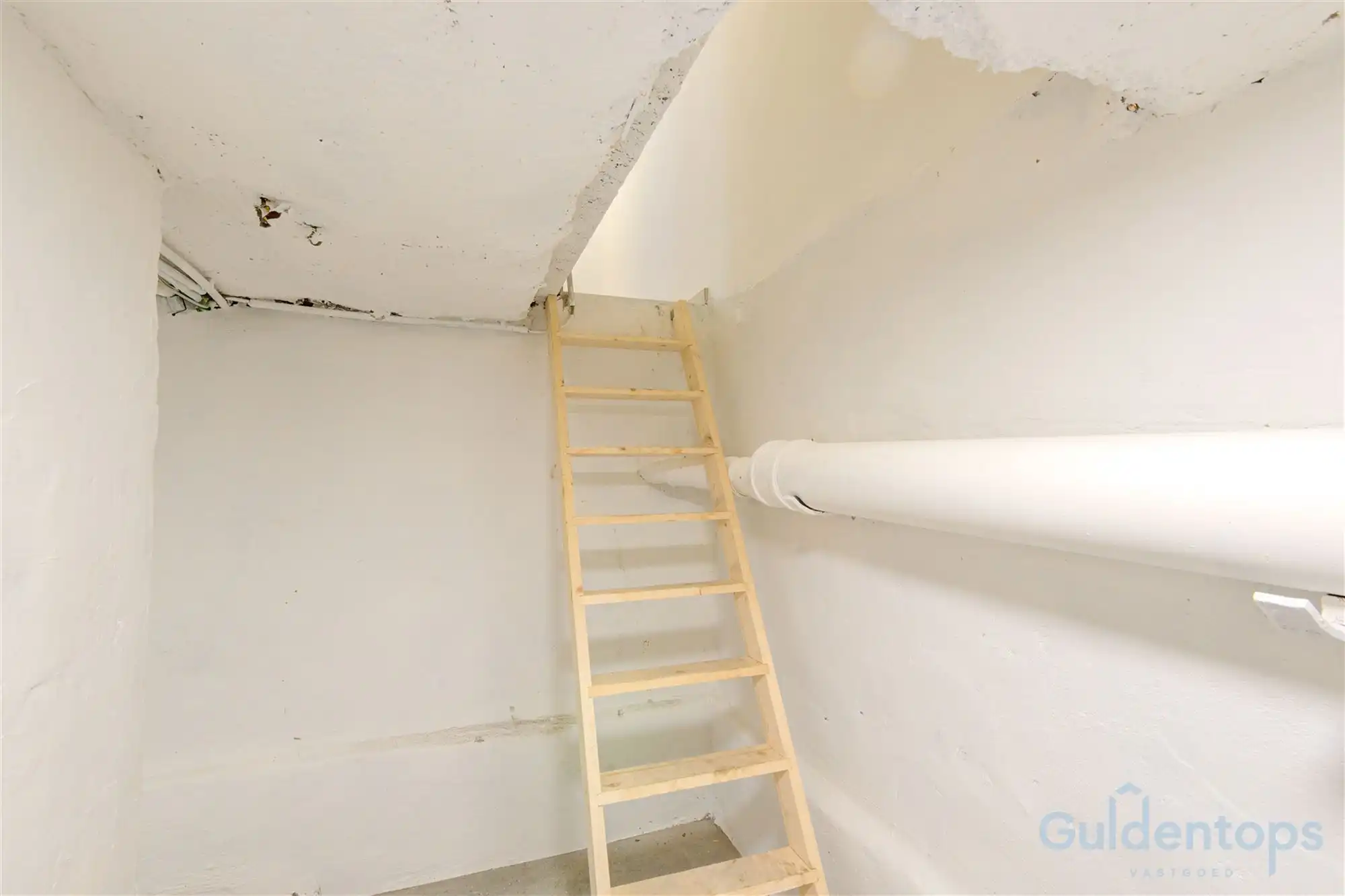 knappe, vernieuwde gezinswoning met tuin in hartje Berchem foto 29