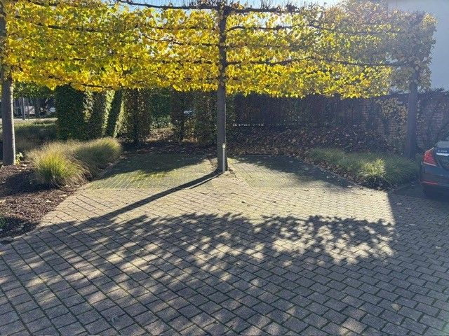 Gelijkvloerse koel- en handelsruimtes met laad- en loskade foto 5