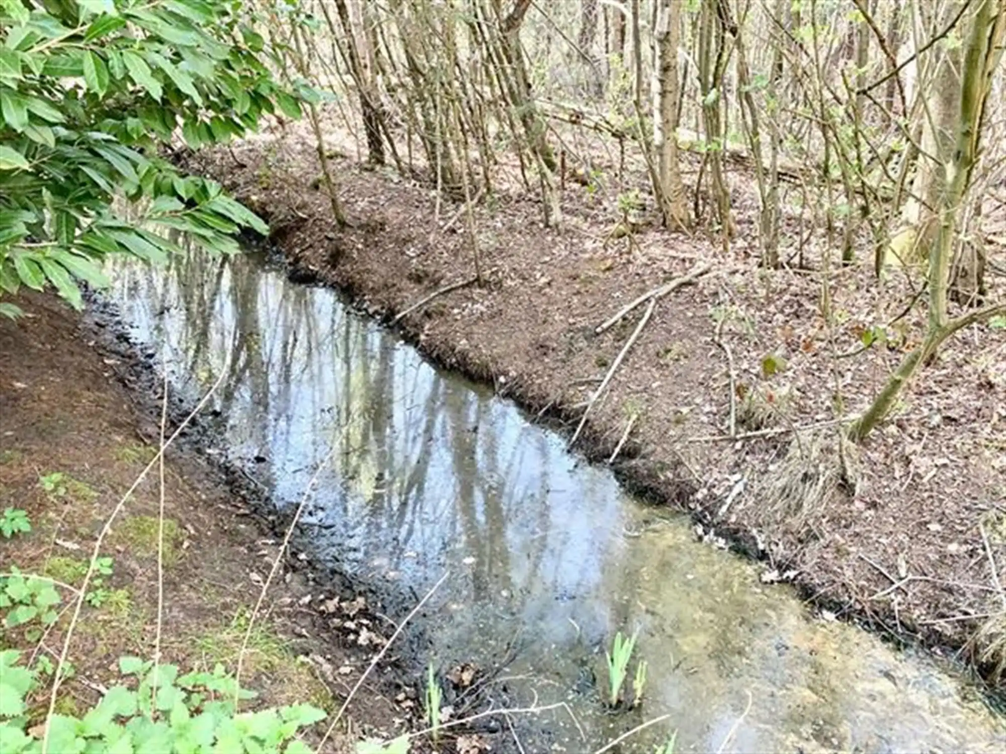 instapklare vakantiewoning in een uniek natuurgebied foto 25