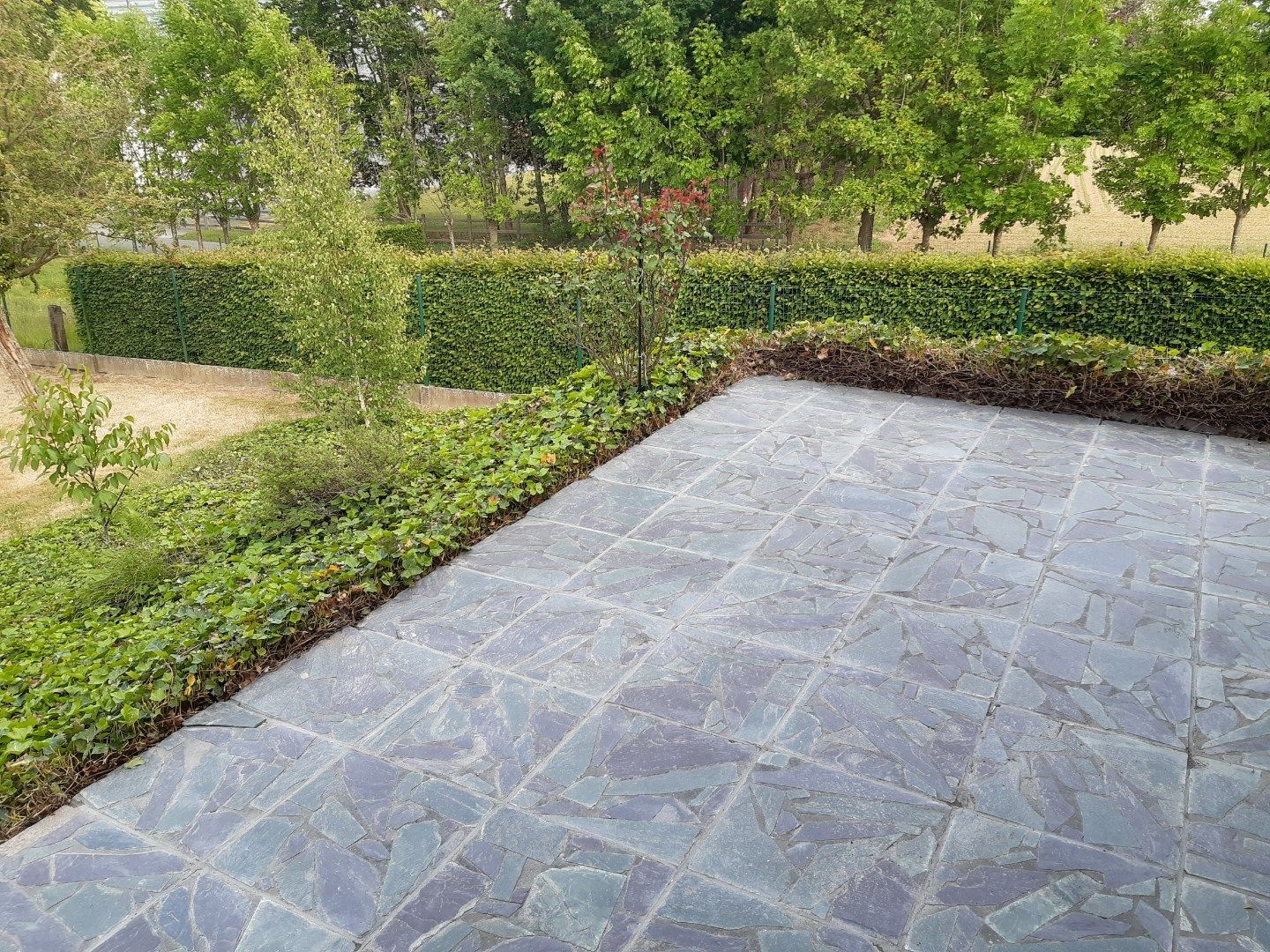 Tijdloos wonen in 't groen. foto 12