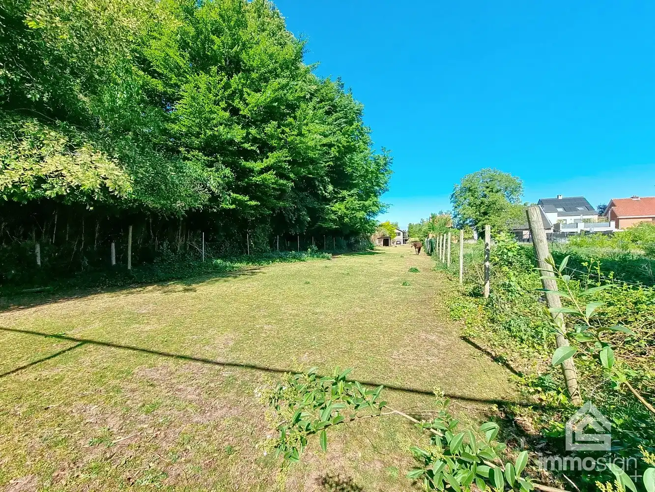 Bouwgrond te koop in Heusden-Zolder – Rustige ligging, groot perceel! Tweewoonst mgl. middels horizontale splitsing! foto 6