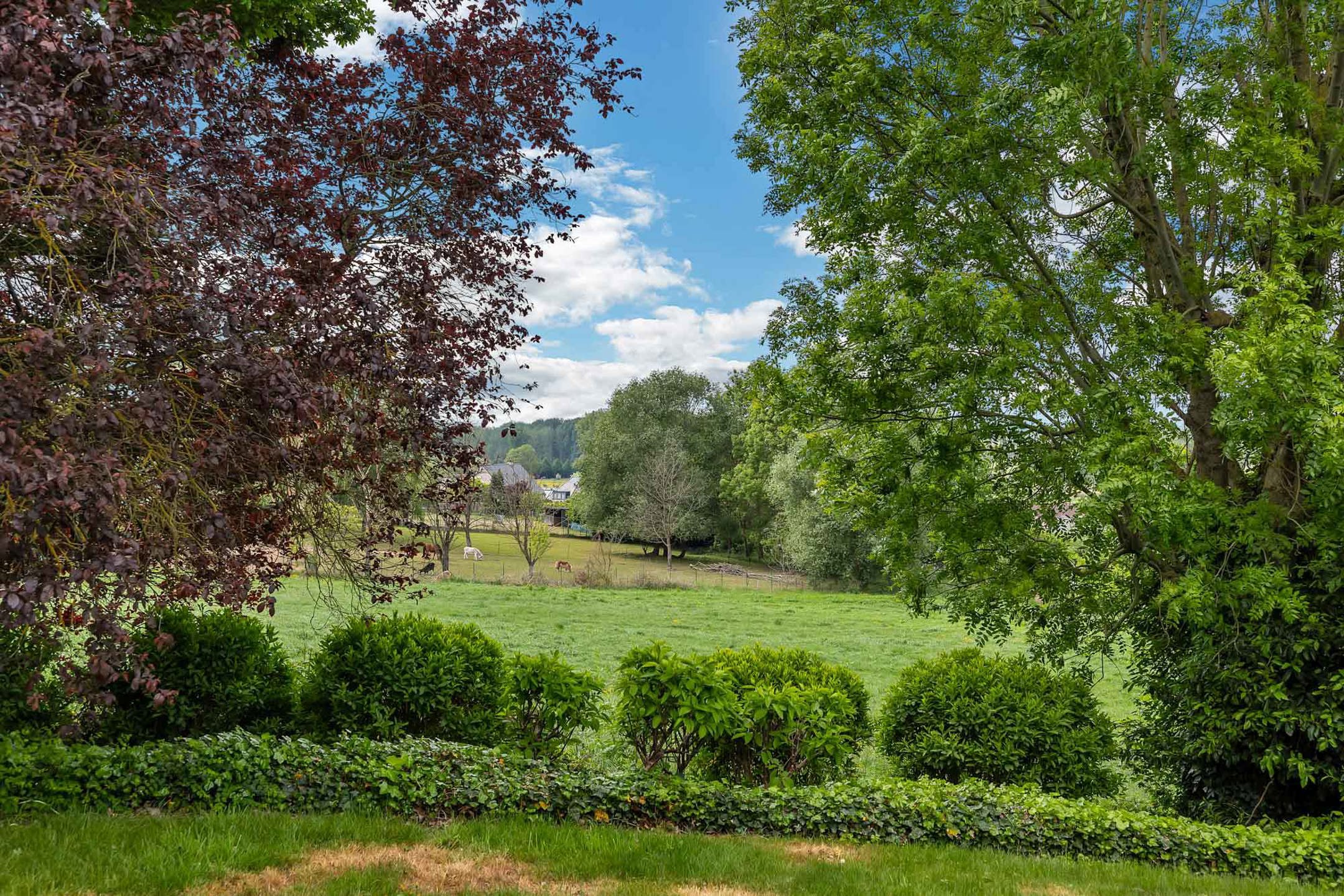 Instapklare woning op unieke locatie foto 29