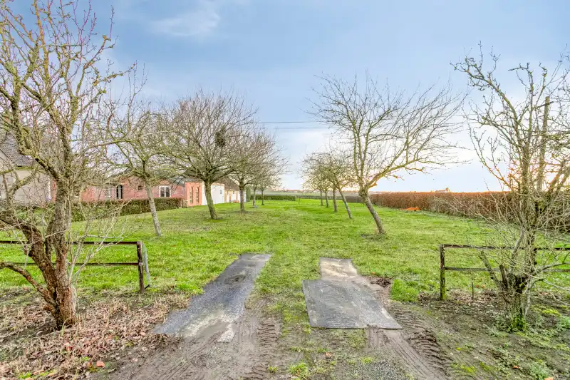 Exclusieve eigendom op ca. 4,4 hectare met professionele paardeninfrastructuur foto 8