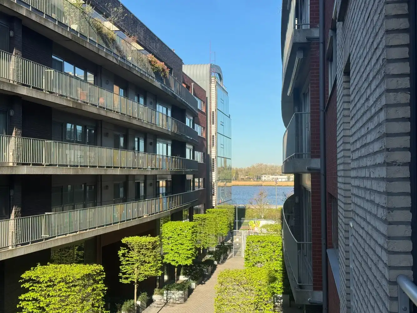 Hoekappartement met terras in hartje Antwerpen foto {{pictureIndex}}
